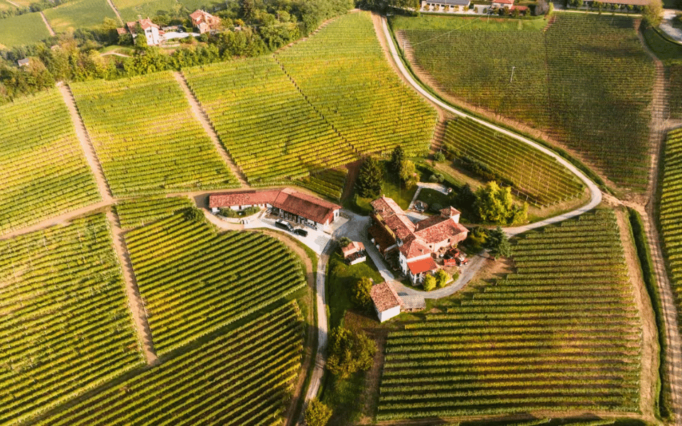 Vista panoramica dei vigneti Piemontesi - Joule Bike Tour